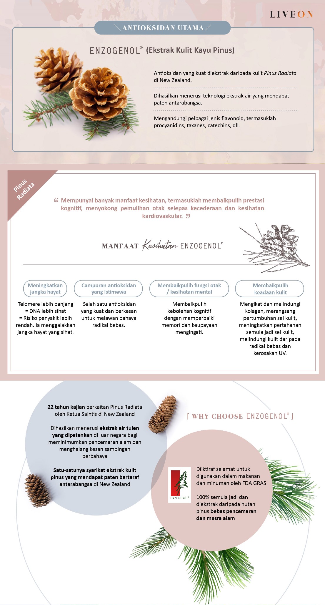 LIVEON - SOD extramel pine bark extract - a powerful antioxidant extracted from bark of pinus radiata in new zealand  