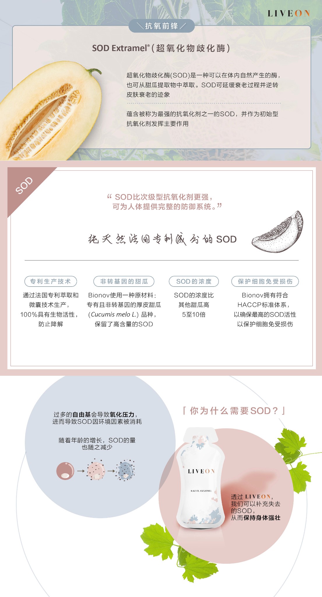 LIVEON逆龄抗糖饮 - SOD extramel free radicals oxidative stress 