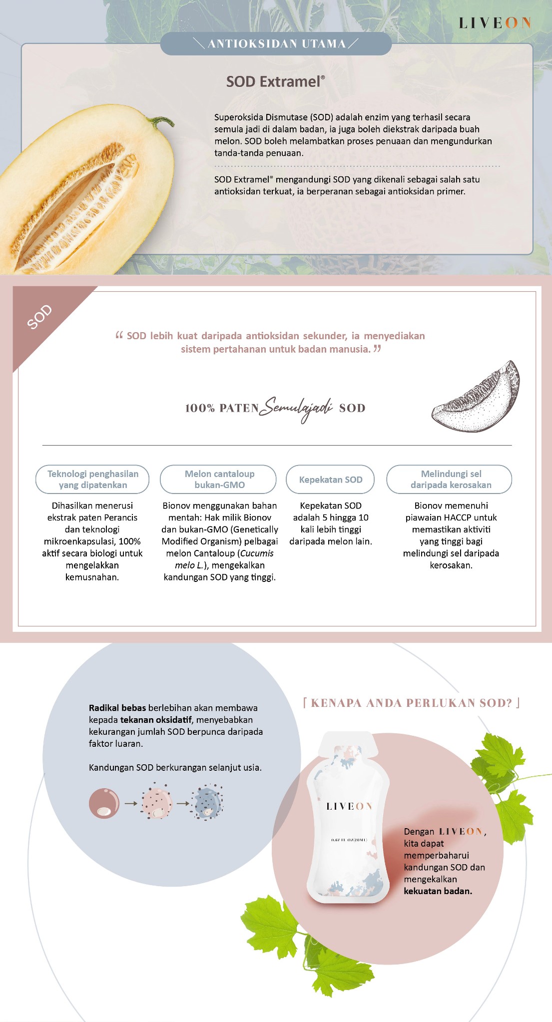 LIVEON - SOD extramel free radicals oxidative stress 