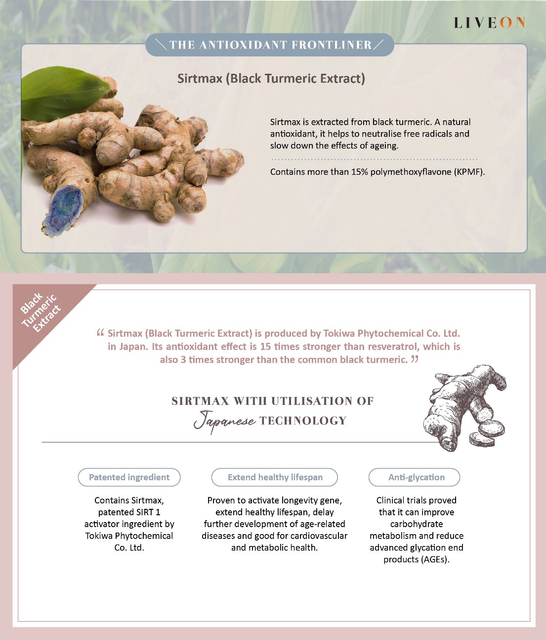 LIVEON - Sirtmas (black turmeric extract) the anitoxidant frontliner  