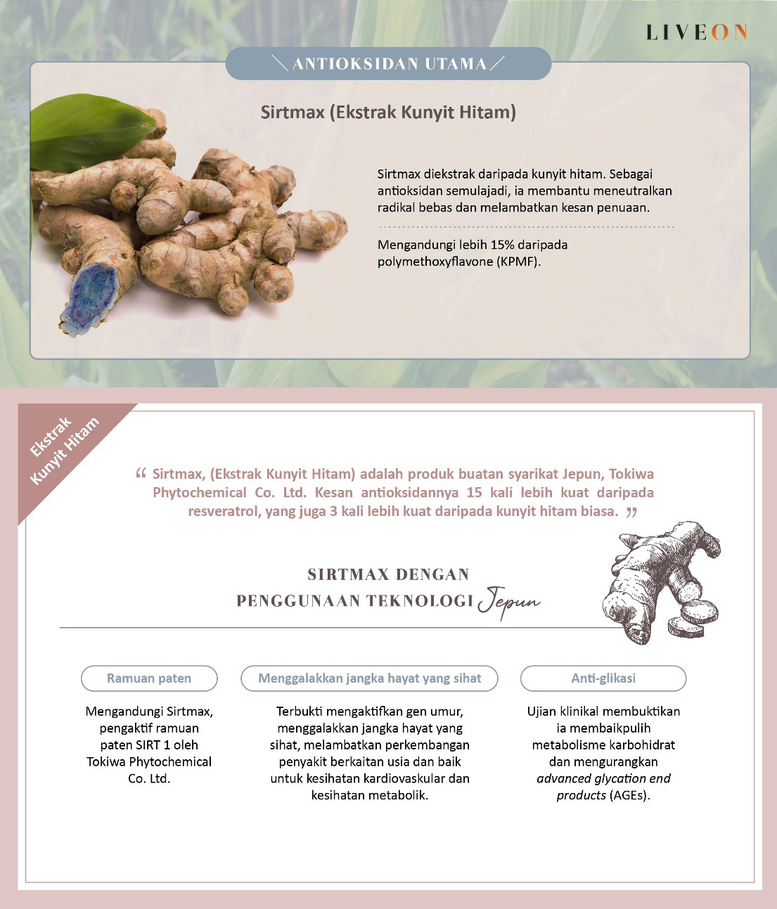 LIVEON - Sirtmas (black turmeric extract) the anitoxidant frontliner  