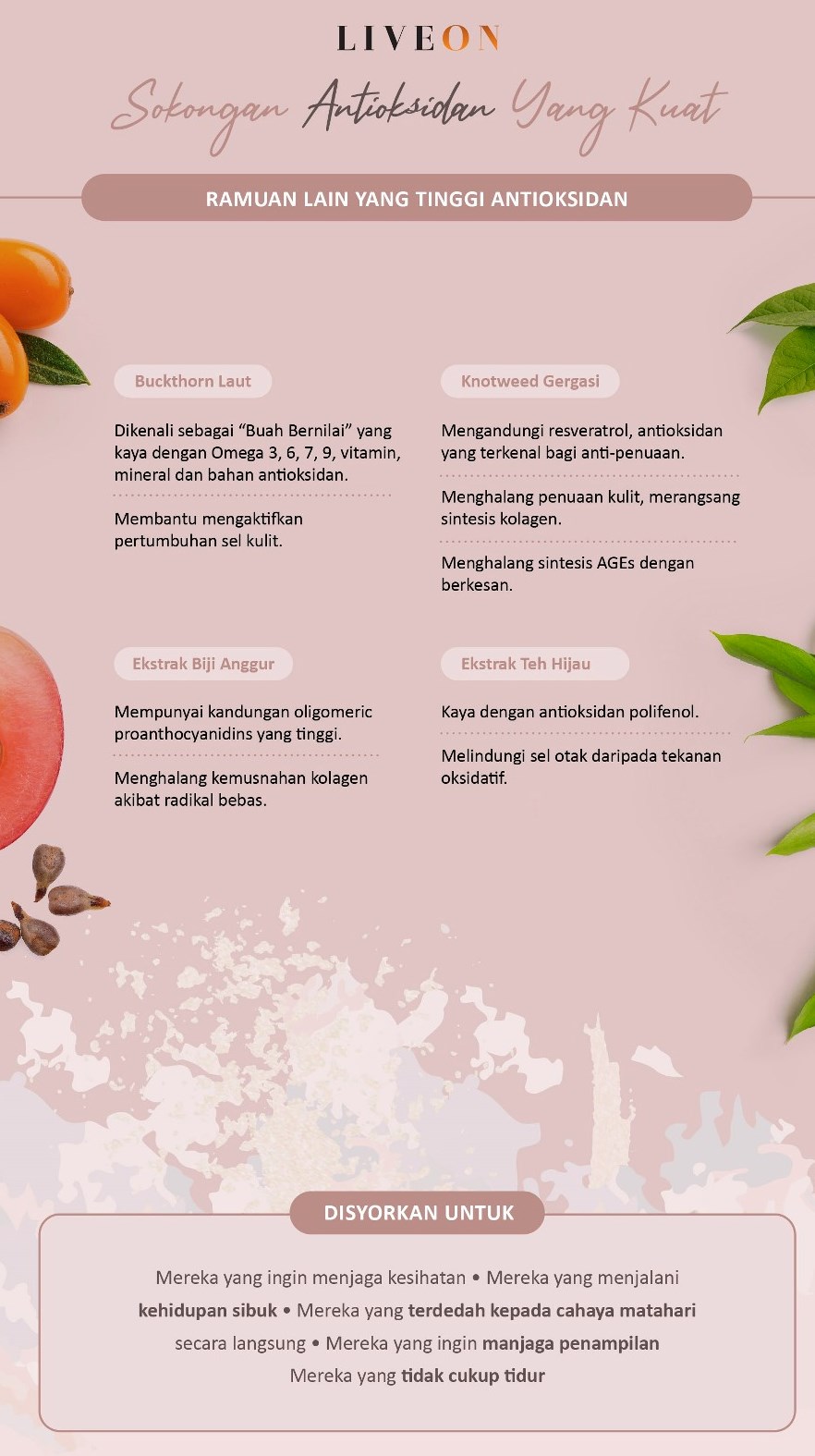 LIVEON - powerful antioxidant support - Sea Buckthorn , Giant Knotweed, grapeseed extract, green tea extract 